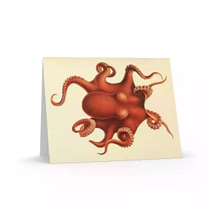 cgk.ink anti-holiday HUGS! Greeting Cards (8, 16, and 24 pcs) HUGS! Greeting Cards (8, 16, and 24 pcs) STATIONERY cgk.ink