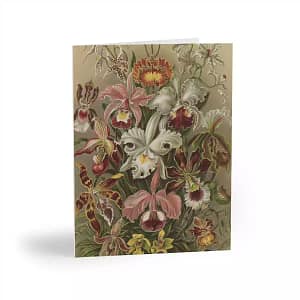 cgk.ink anti-holiday Orchidæ Greeting Cards (8, 16, and 24 pcs) Orchidæ Greeting Cards (8, 16, and 24 pcs) ACCESSORIES & GIFTS cgk.ink