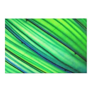 Kelp Garden Area Rug DÉCOR cgk.ink