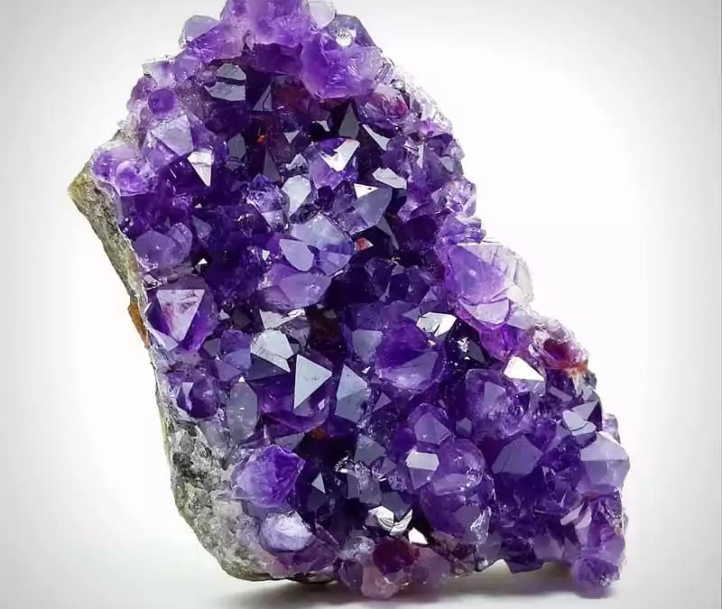 violet