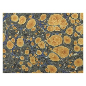 cgk.ink abstract Jasper Falls Dornier Rug Jasper Falls Dornier Rug HOME cgk.ink