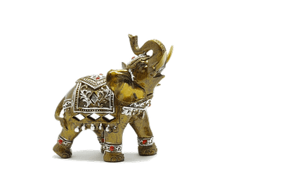 elephants | słonie | فیل ها | ਹਾਥੀ | 象 | փղեր | пилдер