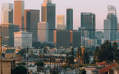 Let me introduce you: Chris, welcome to Los Angeles