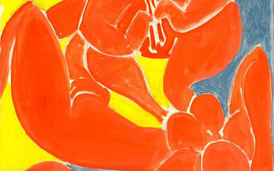 the EXPANDED FINE ART COLLECTION